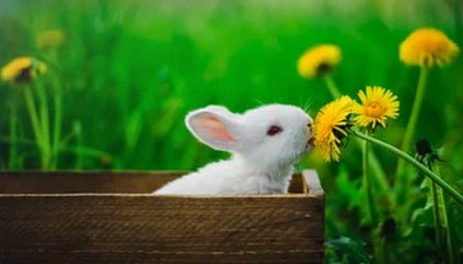 开云·Kaiyun网页版-体育摄影大赛记录运动精彩瞬间，体育摄影作品简介