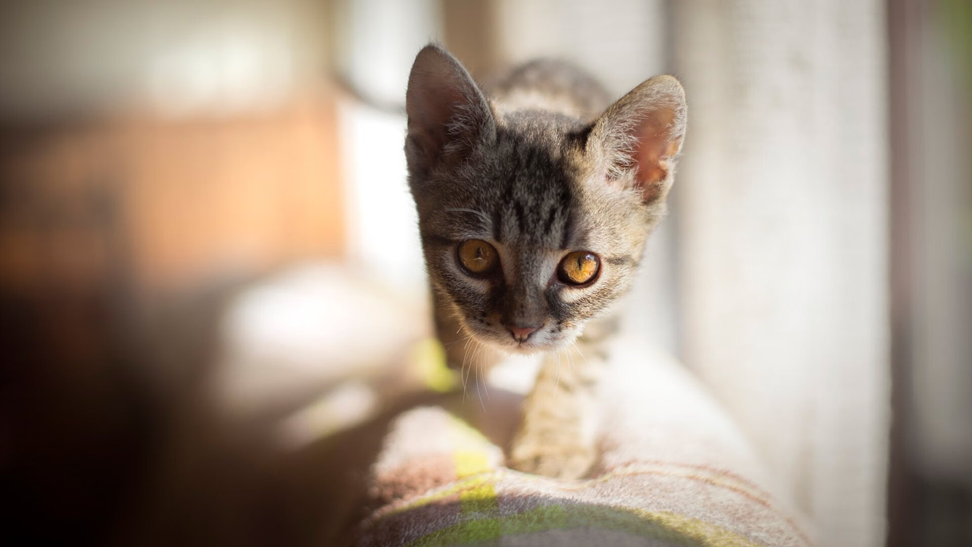 高校课程质量保障,高校课程质量保障心得体会