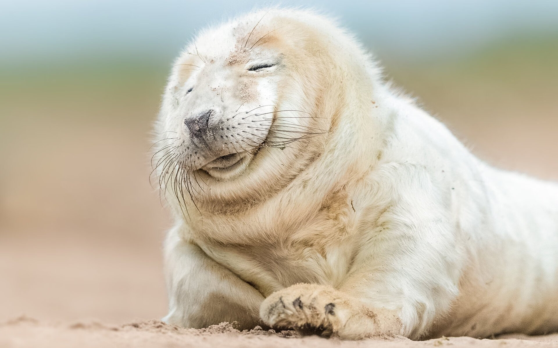 中国三人篮球男队积极磨合 新人表现出色，中国三人篮球男队积极磨合 新人表现出色吗