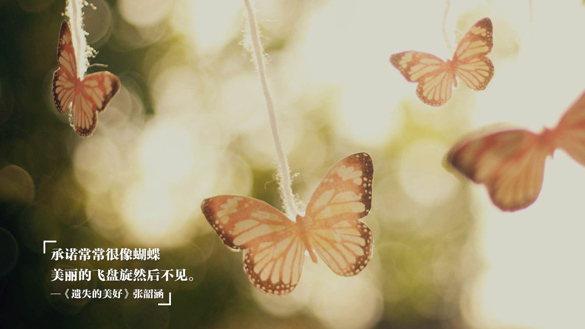 中国女篮连续取得关键胜利，中国女篮获胜