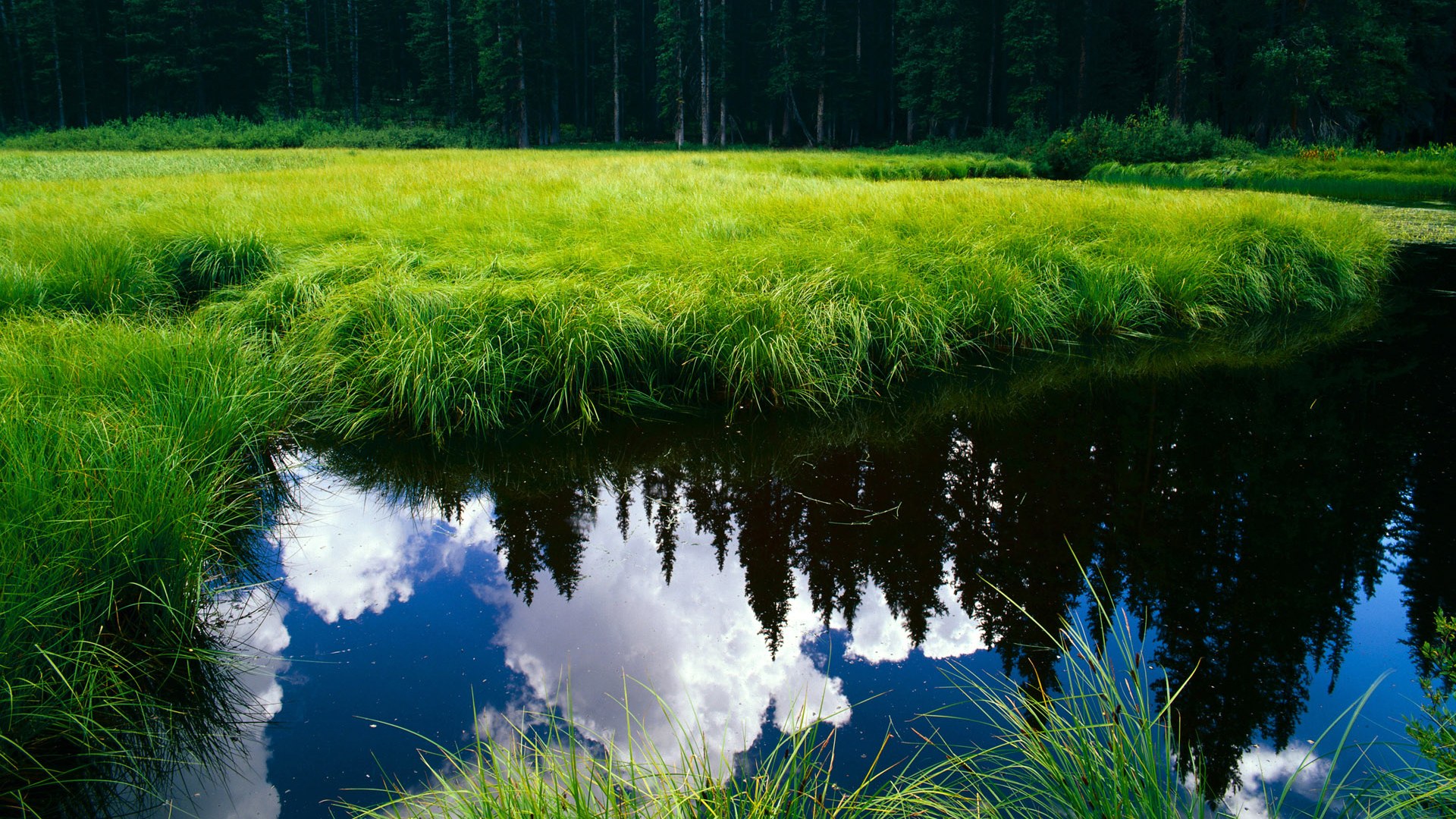 冲刺阶段划幅与最终名次关系分析,冲刺阶段是什么意思