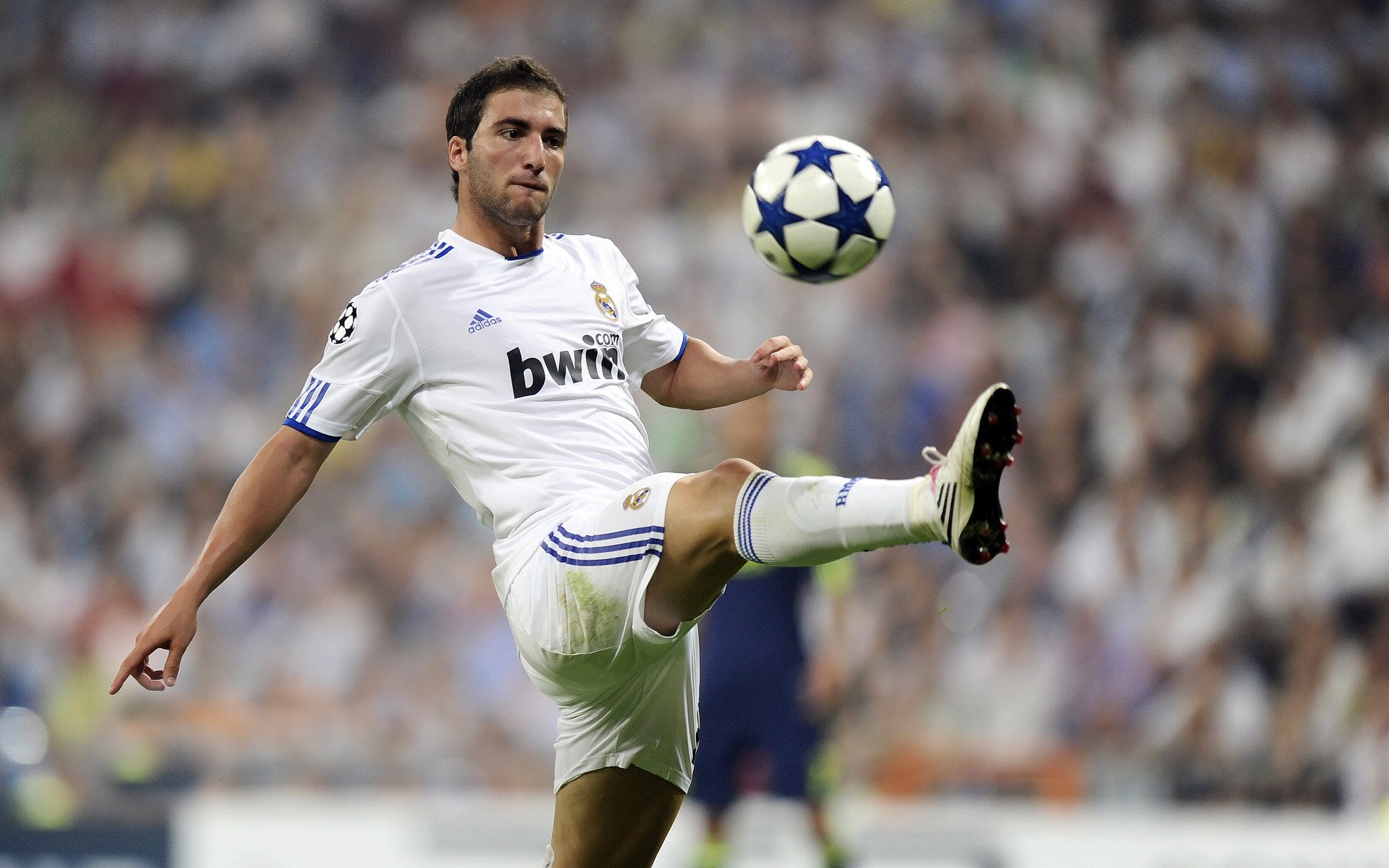 开云官方网页登录-外援引进缺乏技战术类型区分，引进外援利于国足发展