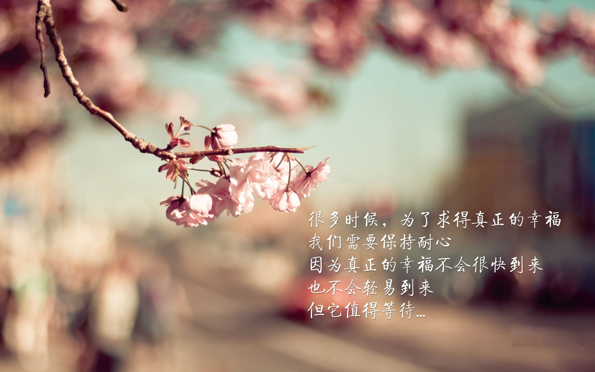 青少年足球赛事缺乏专业组织力量,青少年的足球联赛