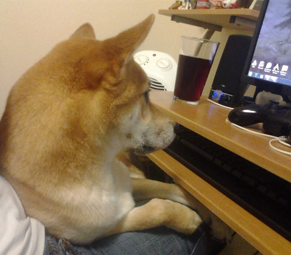 乔·莫伊:全黑队的前锋巨人,scrum核心的强力支柱,乔乔莫伊斯三部曲