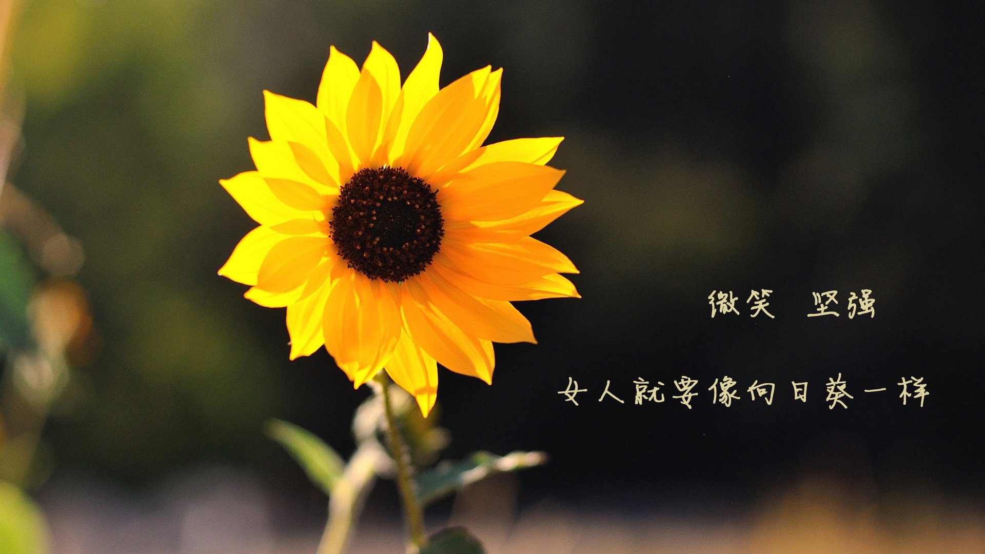 国家队加强控球能力训练提升中场调度效率,提高控球能力的十大措施