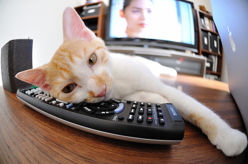 开云网站-塞尔·拉恩：全黑队外线的“飓风”，快速突破对方防线