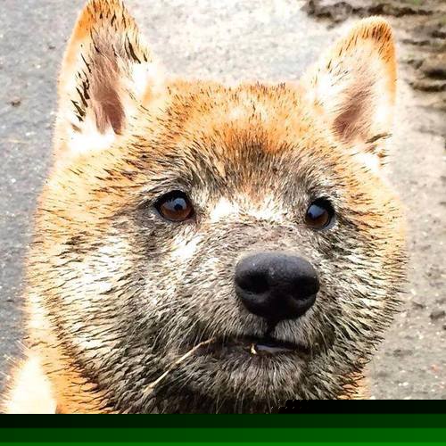 kaiyun官方网站-李冰洁强势出击200自决赛勇夺佳绩，李冰洁比赛项目