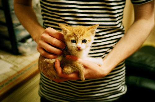 澳大利亚篮球超级联赛中,墨尔本队风头正劲,冲击总冠军,澳大利亚篮球联赛队伍