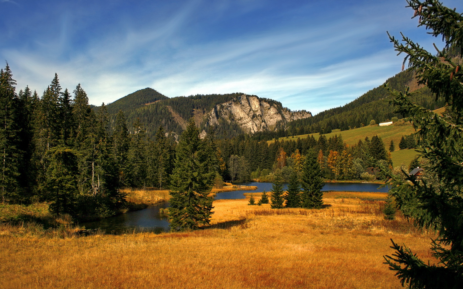 特立尼达和多巴哥在中美洲锦标赛中夺冠,体育发展迅速