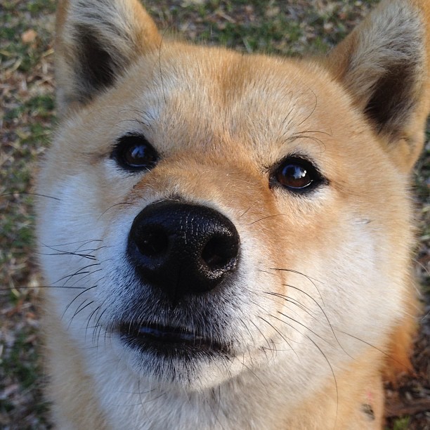 赛季末转会谈判升温,多队就核心薪资谈判加速